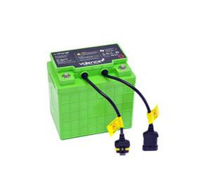 ERGOTRON Batterie de remplacement SV Life 97-618