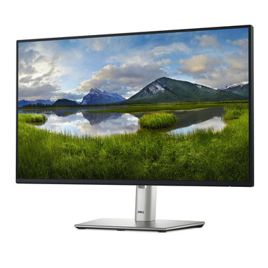 Dell P2425H Moniteur Full HD 24 pouces avec panneau IPS et 100Hz