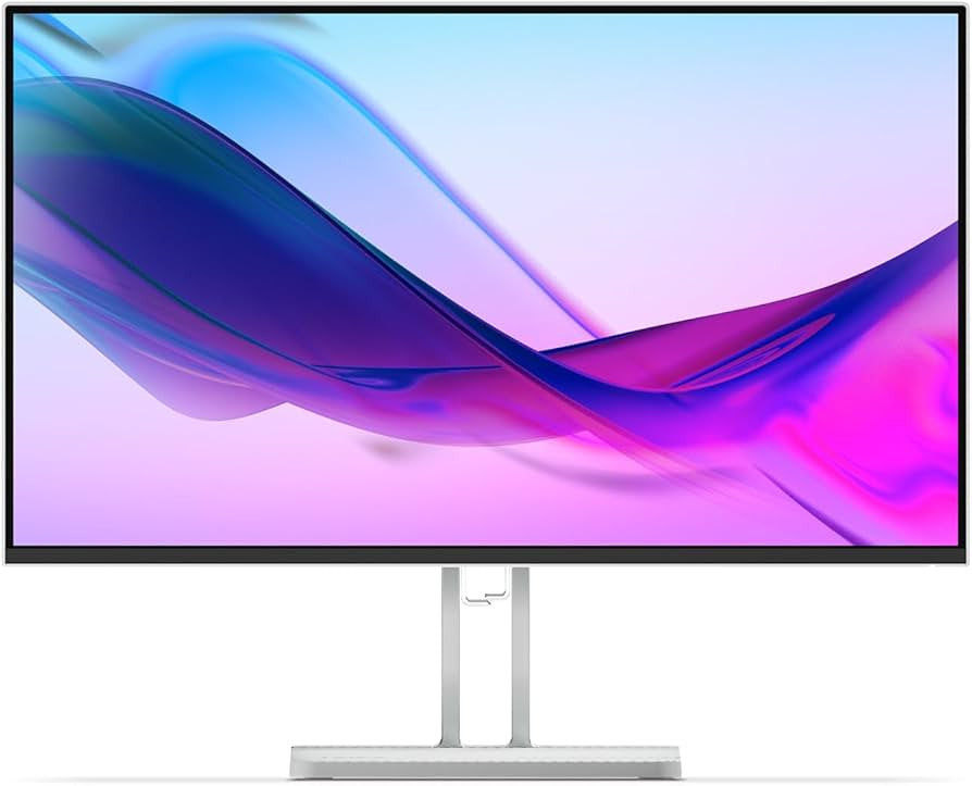 LENOVO Monitor L24I-4A 24" LED grey 67BCKAC6EU