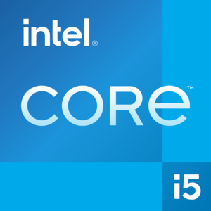 DELL Pro QCM1250 Intel® Core™ i5 i5-14500T 16 Go DDR5-SDRAM 512 Go SSD Windows 11 Pro Micro PC Mini PC Noir