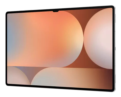 Samsung Galaxy Tab S10 Ultra (14.6", Wi-Fi) SM-X920NZSREUB