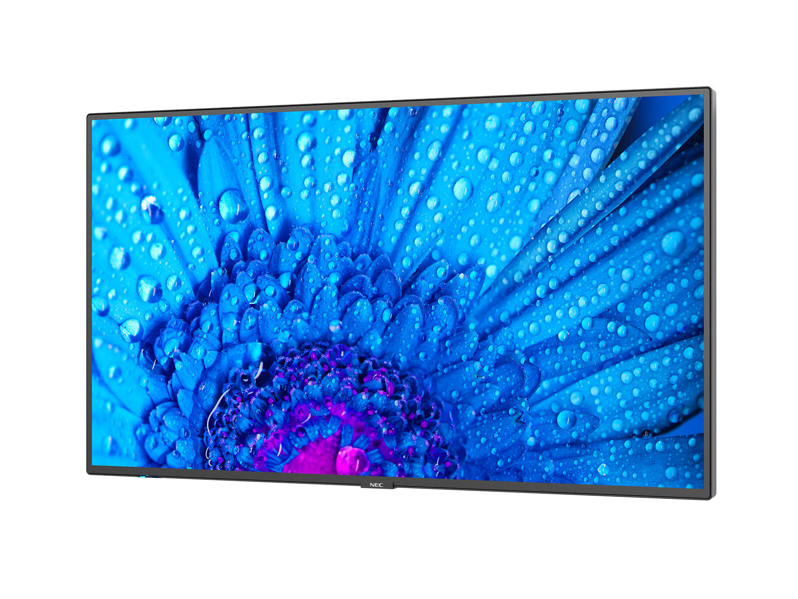 NEC MultiSync M491 Écran plat de signalisation numérique 124,5 cm (49") IPS 500 cd/m² 4K Ultra HD Noir 24/7