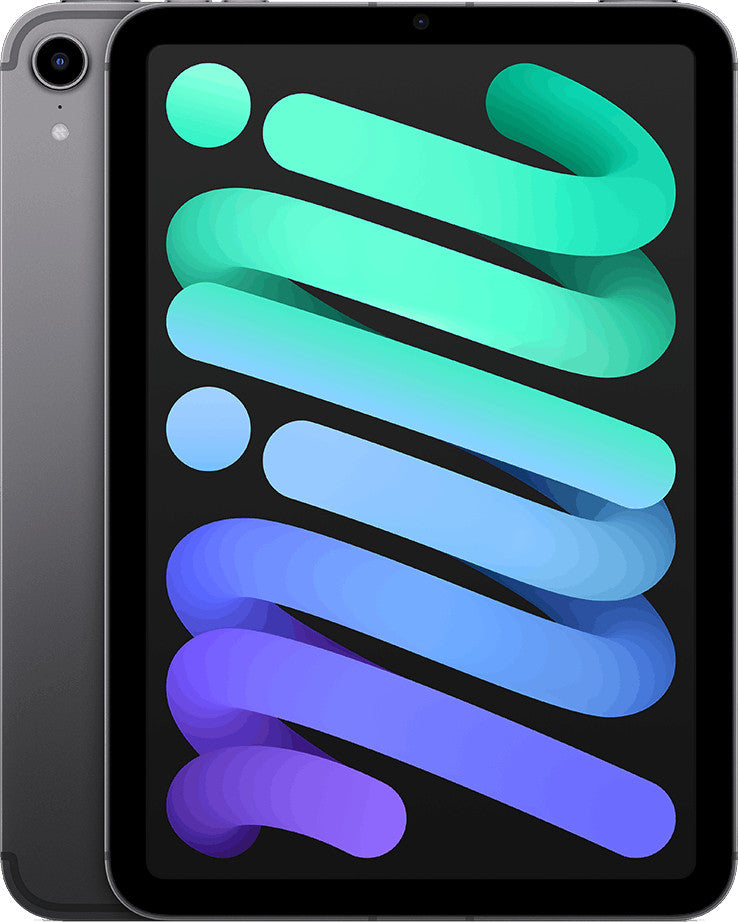 Apple iPad mini 64 Go 21,1 cm (8.3") Wi-Fi 6 (802.11ax) iPadOS 15 Gris