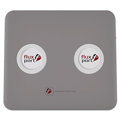 Flux Port FluxPort FP a 010 double batterie pour smartphone gris FP-A-010 